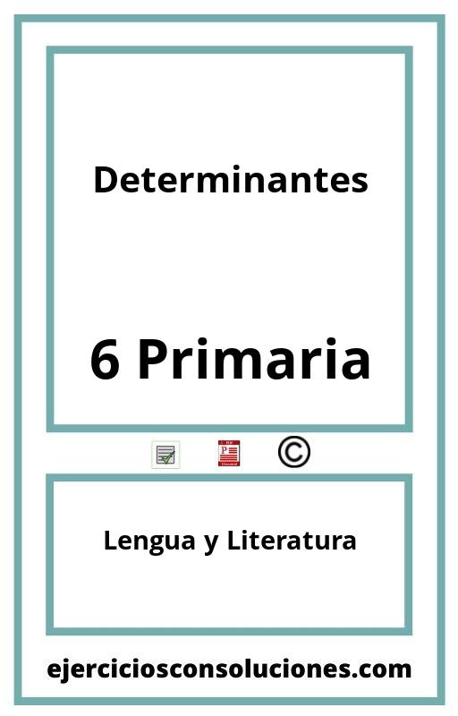 Ejercicios Resueltos Determinantes 6 Primaria PDF con Soluciones