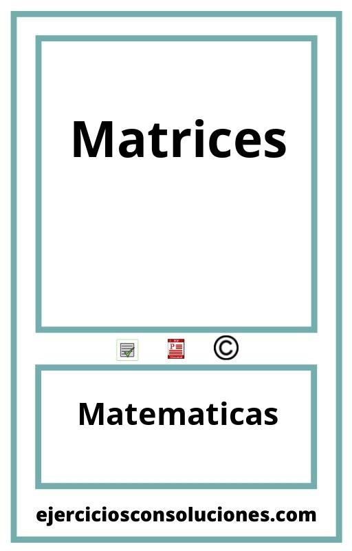 Ejercicios Resueltos Matrices  PDF con Soluciones